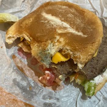 Burger King Trendyol GO Siparişimde Çürük Ve Küflü Ürünler Geldi