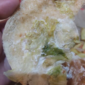 Burger King Trendyol GO Siparişimde Çürük Ve Küflü Ürünler Geldi