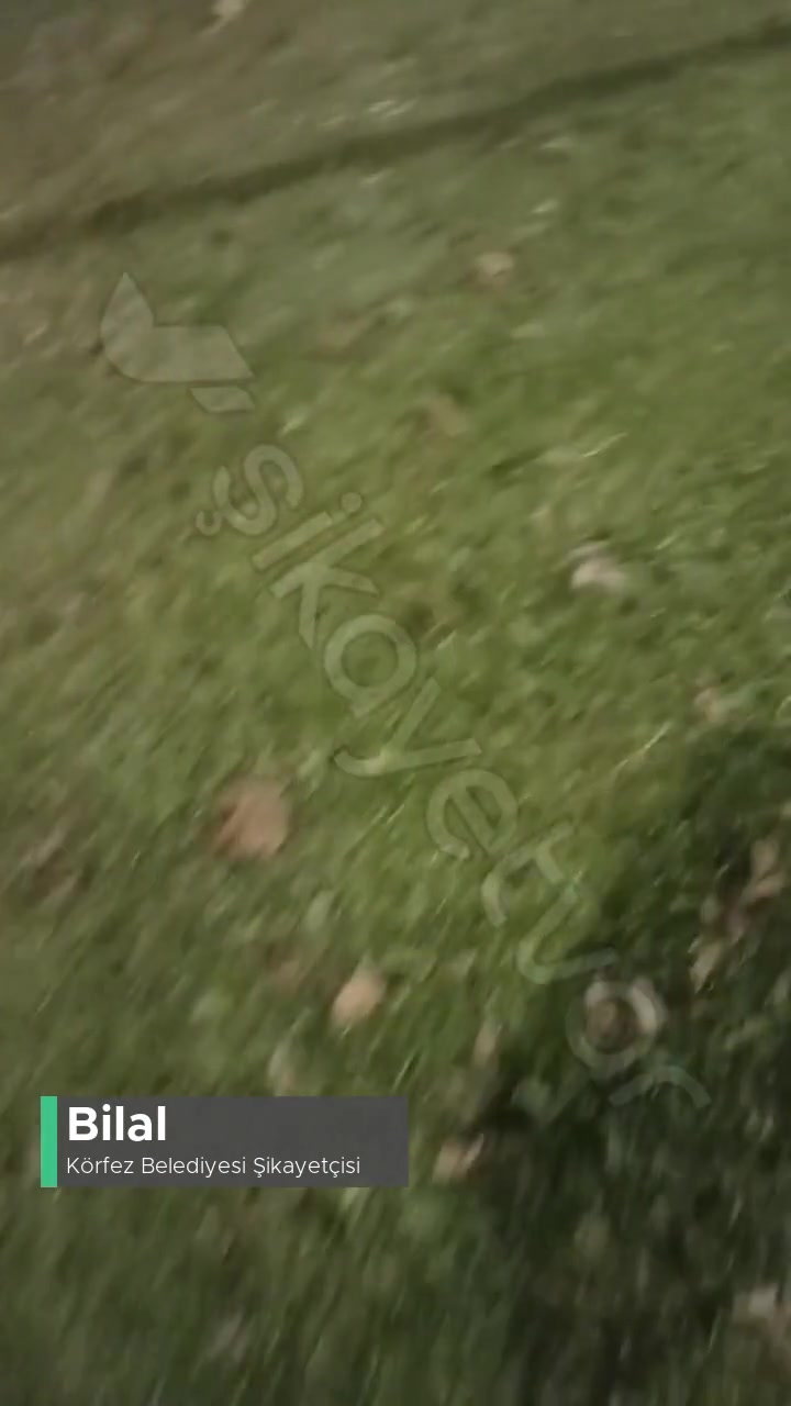 Körfez Belediyesi Tütün Çiftlik Sahilindeki Futbol Sahasında Işıkların Yanmaması! videonun kapak resmi