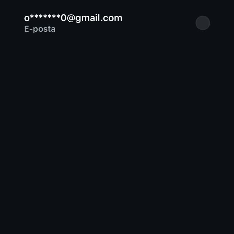 Instagram Hesabımın Güvenliği!