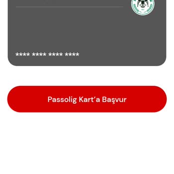 Passolig Kartım Onaylandı Ama Maça Giremiyorum