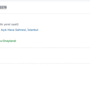 Viagogo'dan Aldığım Biletin Teslim Edilmemesi