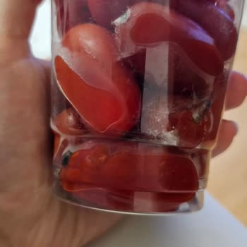 Migros Sanal Market Küflü Ürün Gönderdi