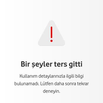 Kullanım Detaylarına Erişememe ve Çözüm Sürecindeki Sorunlar