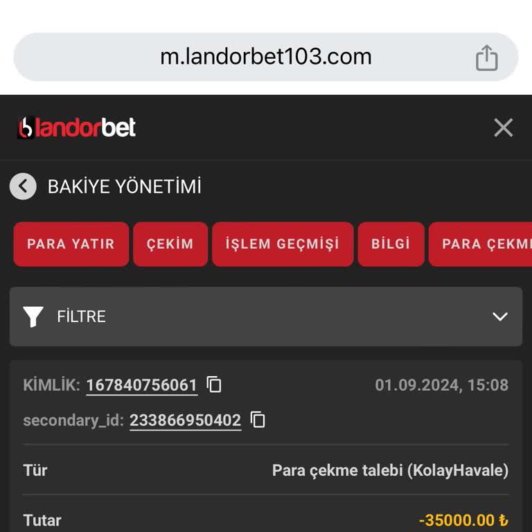 Landorbet Bahis Sitesinden Havale İle Para Çekme Sorunu