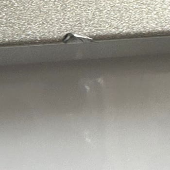 Vestel Beyaz Eşya Satın Alımında Karşılaşılan Sorunlar