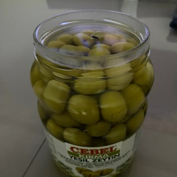 Cebel Zeytinin Suyunda Neden Sinek Var.