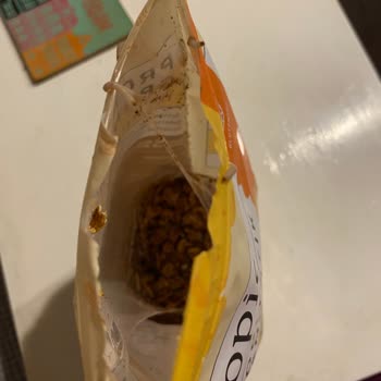 Fropie Son Kullanma Tarihi Geçmemiş Üründe Böceklenme Sorunu