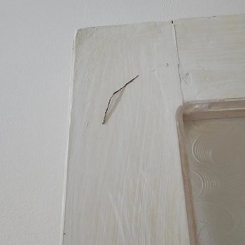 Sultan Temizlik (Antalya) Eksik Ve Aceleci Temizlik Hizmeti Şikayeti