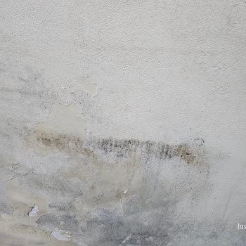 Sultan Temizlik (Antalya) Eksik Ve Aceleci Temizlik Hizmeti Şikayeti