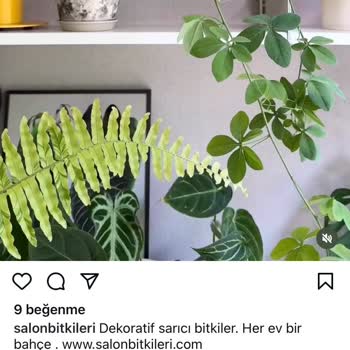 Salonbitkileri.com İletilmeyen Sipariş Dikkat