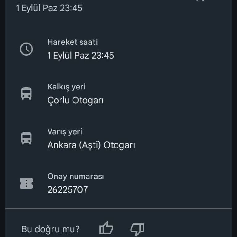 İstanbul Seyahat Sorumsuzluk Ve Vurdum Duymazlık.