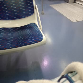 Aliağa İzban Asansörü Ve Umursamaz Güvenlik