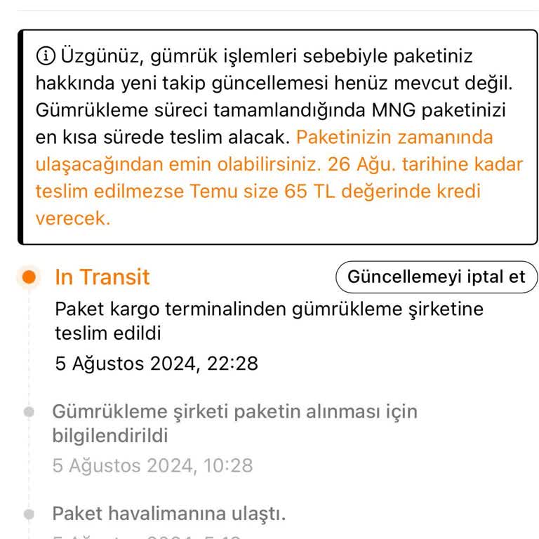 Temu Ürünlerim Gümrükte Bekliyor