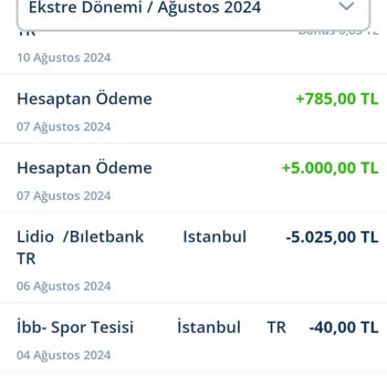 Pegasus İptal Edilen Uçak Bileti Ücret İadesinin Verilmemesi