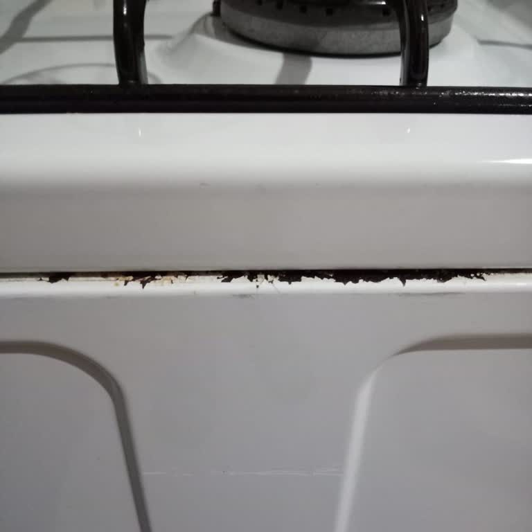 Arçelik Fırında Paslanma Sorunu ve Çözüm Eksikliği