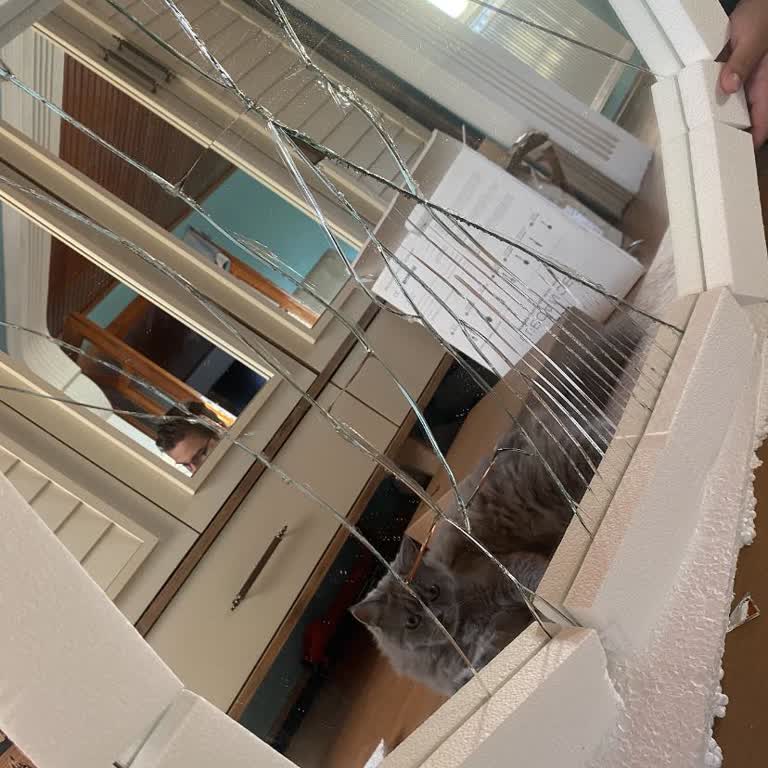 Aras Kargo Teslimat Sorunları Ve Gecikmelerle Karşılaştım