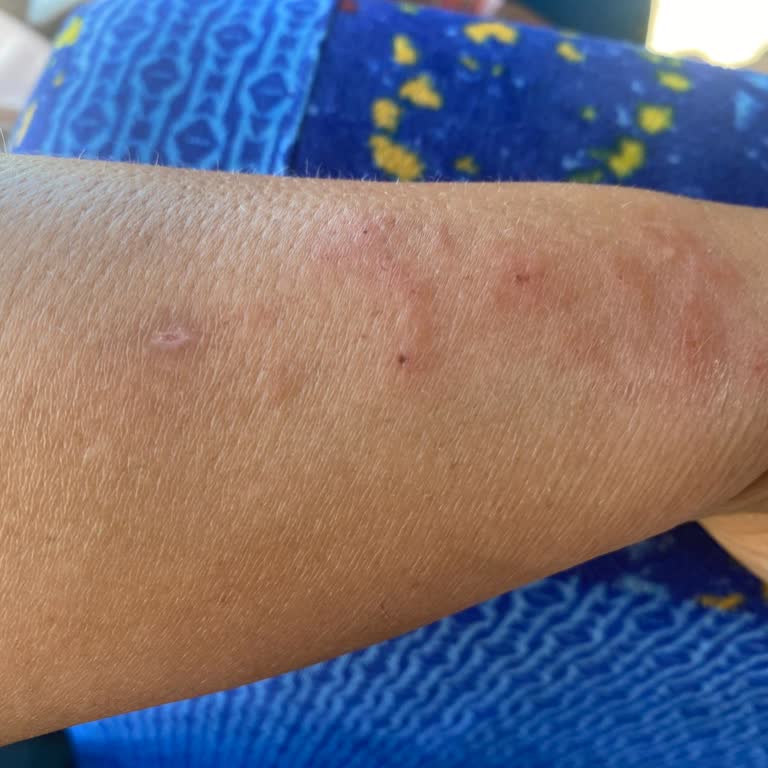 Sea Garden Gruppal Tır Kutu Hotel