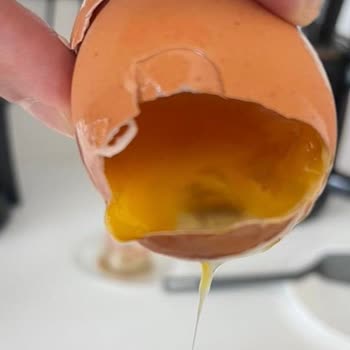 Yeşil Küre Organik Tavuk Yumurta Kalitesinde Ciddi Sorunlar