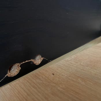 Çilek Mobilya Yataklı Bazası Dayanıksız