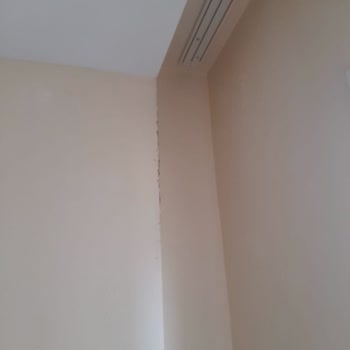 Zurich Insurance Ignored My Water Leak Claim for Over Two Weeks