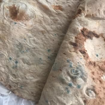 PTT Kargo Giresun Şube Şikayeti