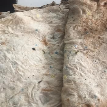 PTT Kargo Giresun Şube Şikayeti