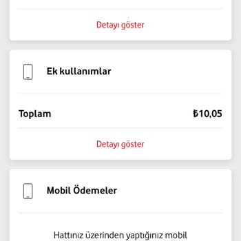 Yanlış iTunes Faturası: 1500 TL Şoku!
