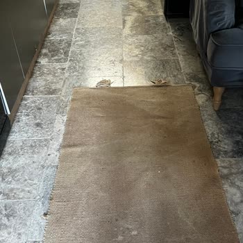 Hello Villam Paramızın Geri İadesinin Yapılmaması