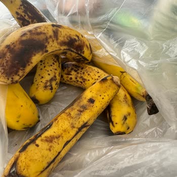 Şok Marketler Küflü Ve Bozuk Ürün