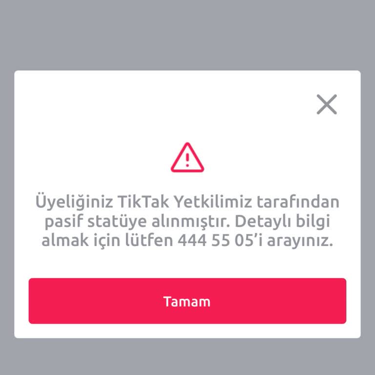 Tiktak Üyeliğim Sebepsiz Yere Pasif Duruma Alındı