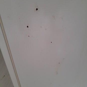 Bosch Pas Tutan Paslanan Buzdolabı