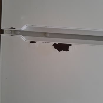 Bosch Pas Tutan Paslanan Buzdolabı