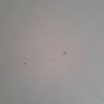 Bosch Pas Tutan Paslanan Buzdolabı