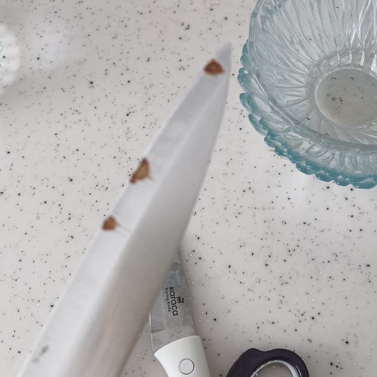 Karaca Bıçak Seti Küflenmesi