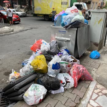 Maltepe Belediyesi Maltepe Belediye Çöp Sorunu