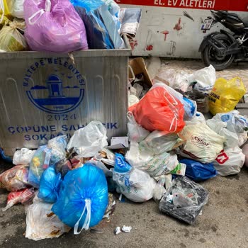 Maltepe Belediyesi Maltepe Belediye Çöp Sorunu