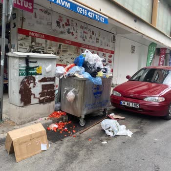 Maltepe Belediyesi Maltepe Belediye Çöp Sorunu