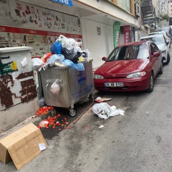 Maltepe Belediyesi Maltepe Belediye Çöp Sorunu