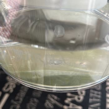 Brita Marella Sürahi Yosunlanma Sorunu