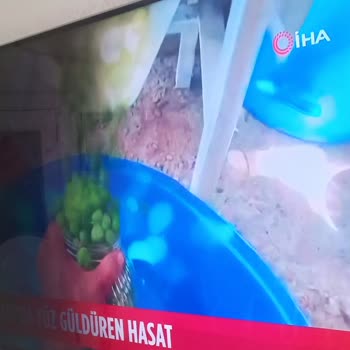 Vestel Televizyonumda Karartı Olması