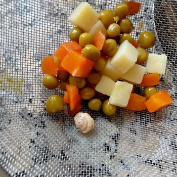 Tamek Garnitürden Salyangoz Çıktı. Şikayet Edeceğim Gerekli Mercilere