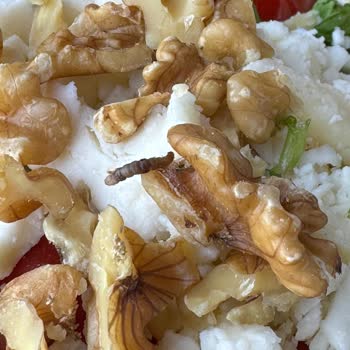 Açelya Cafe Ayvalık Ayvalık - Kafe Deneyimi Ve Beklentiler