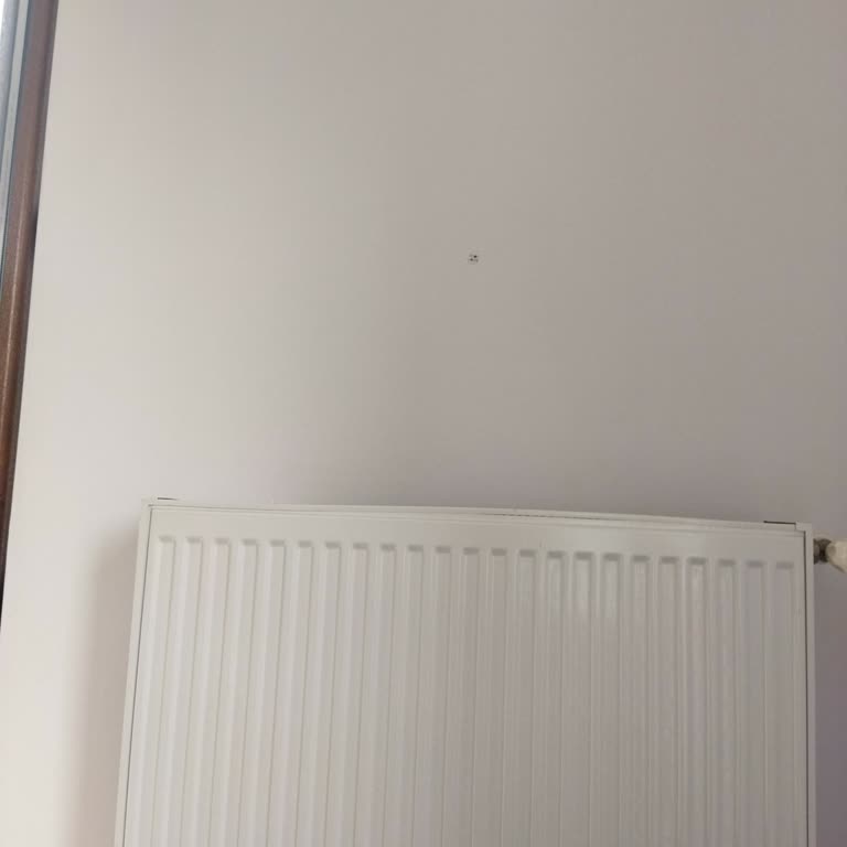 Marshall Boya Beklentileri Karşılamayan Boya Rengi