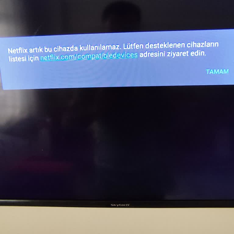 Skytech Netflix Desteklenmiyor Sorunu Yaşıyorum