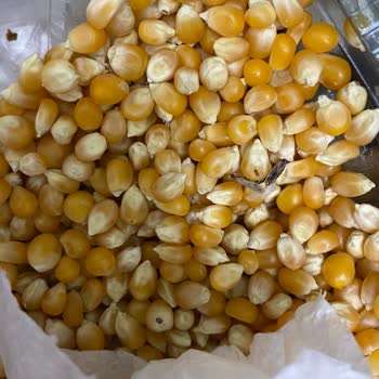 Reis Gıda Markasının Mısırdaki Güvelenme Sorunu