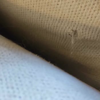 Enza Home Yanıltıcı Bilgiyle Satılan Kanepe Ve Pati Dostu Kumaş Sorunu