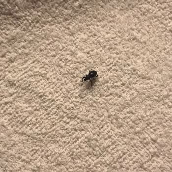 Bolu Seben Kaya Evleri Mağduriyeti!