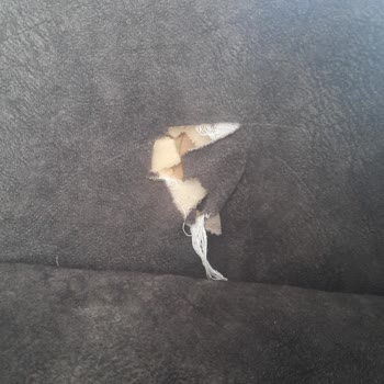 Demente Mobilya Koltuktan Gelen Yay Sesi