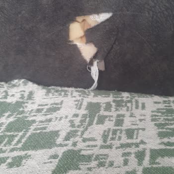 Demente Mobilya Koltuktan Gelen Yay Sesi